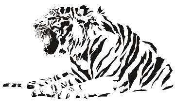 Tiger 360